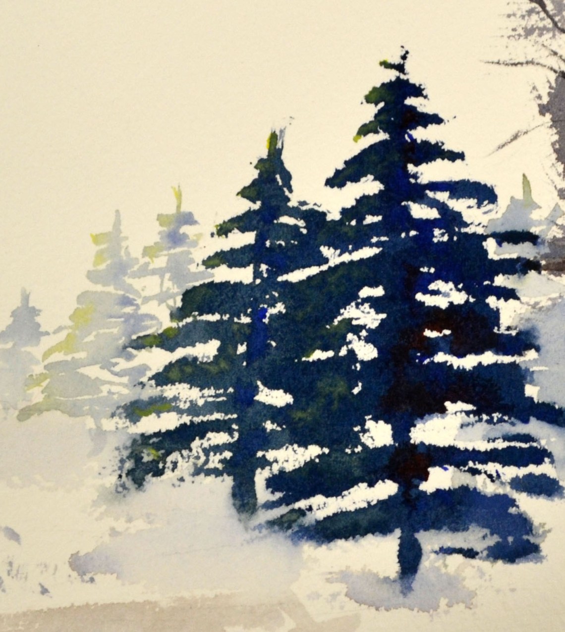 drawn-fir-tree-spruce-tree-9