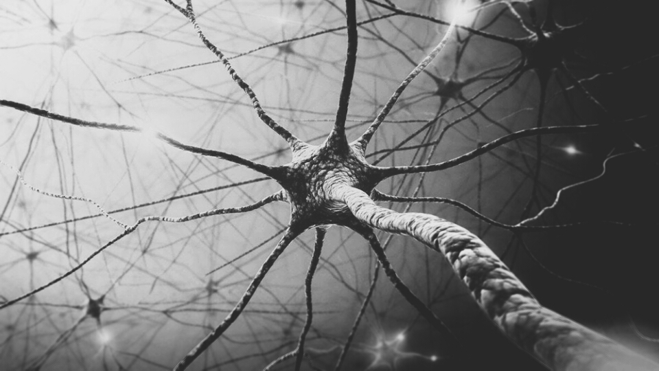 Featured Image -- 6667