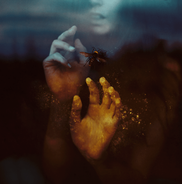 Featured Image -- 7050