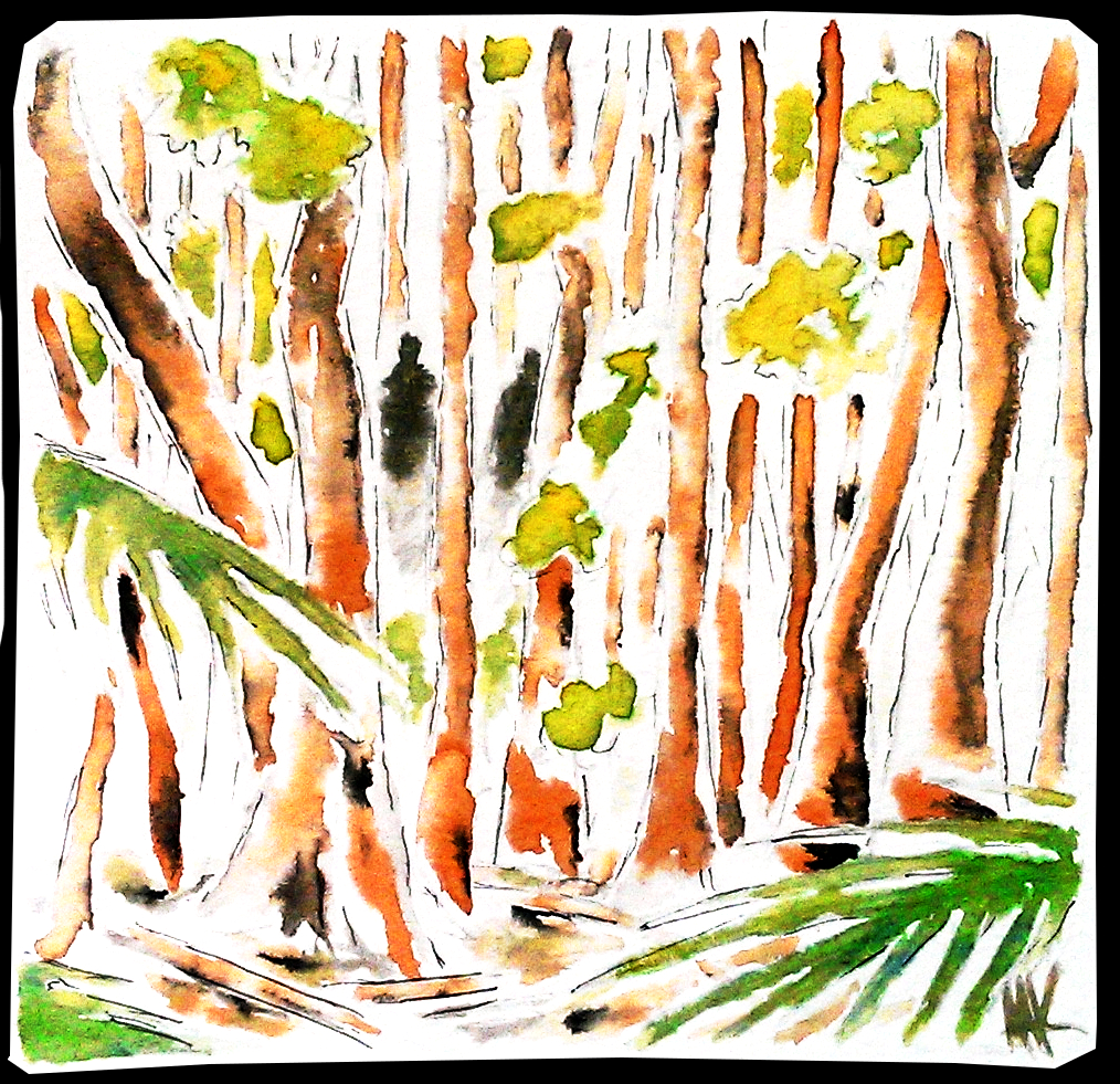 Shadows in the Jungle. Aak fictionspawn