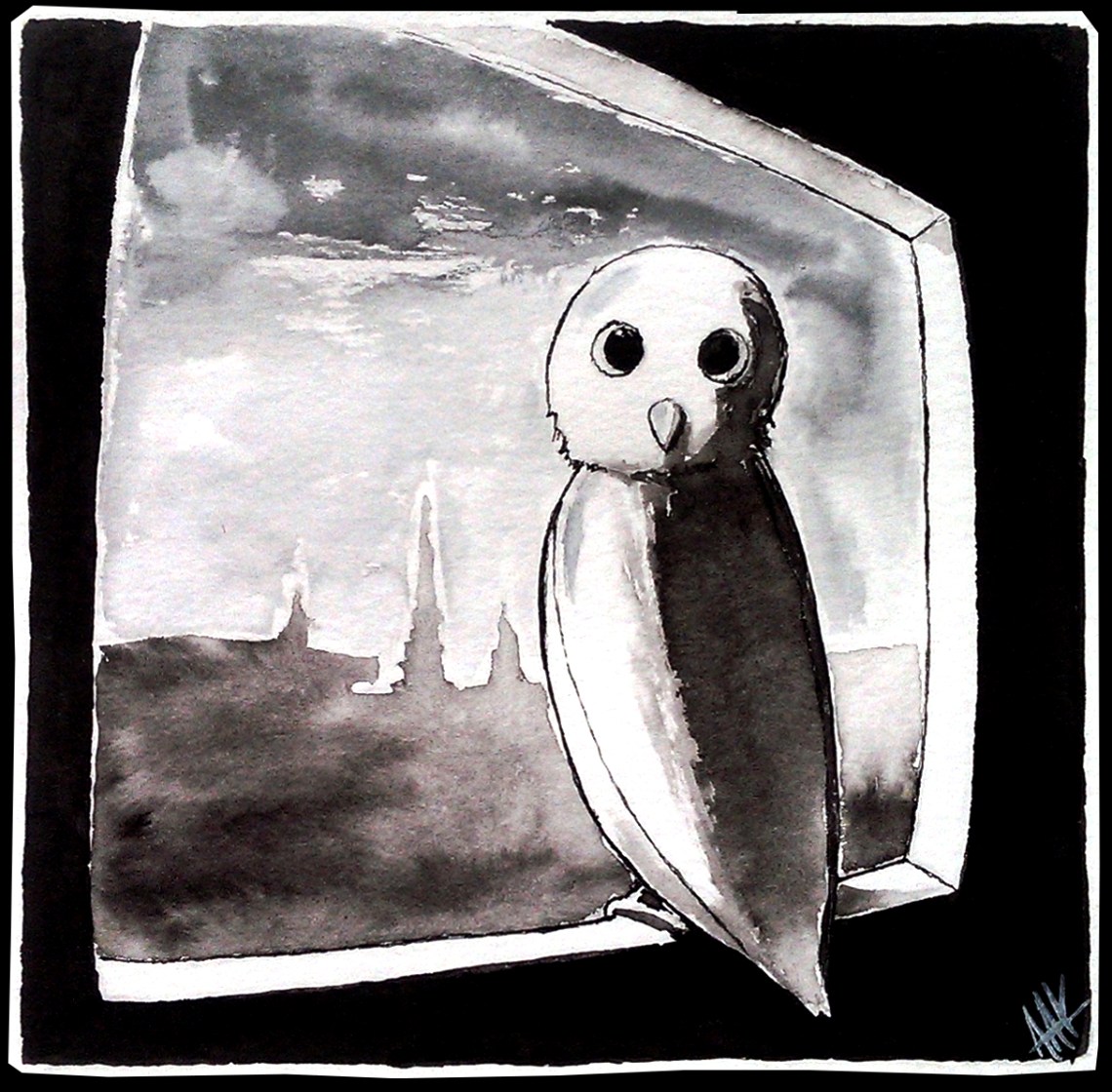 Owl in the window. Kjetil Aak