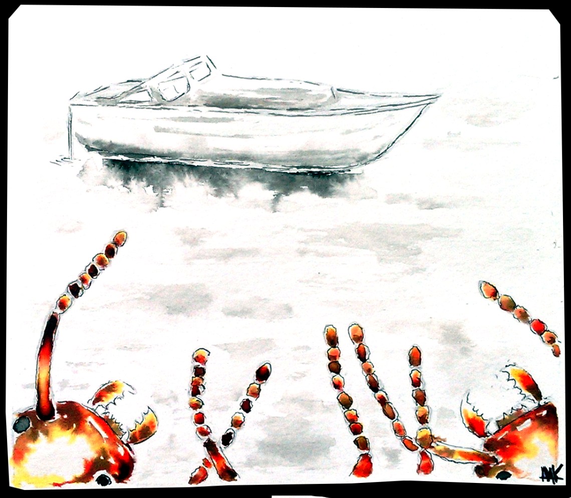 Ants watching a boat