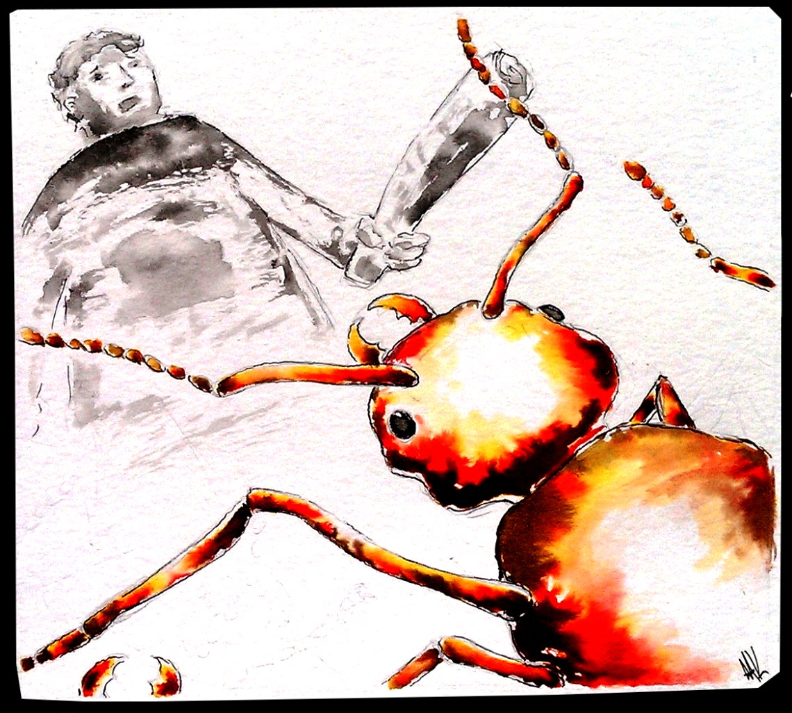 Man fighting an ant. Aak fictionspawn
